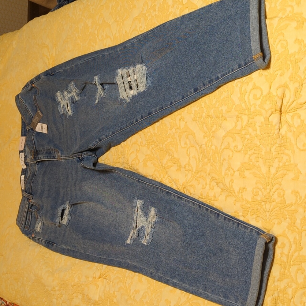 Lane Bryant NWT Boyfriend Jeans SZ 18 NWT